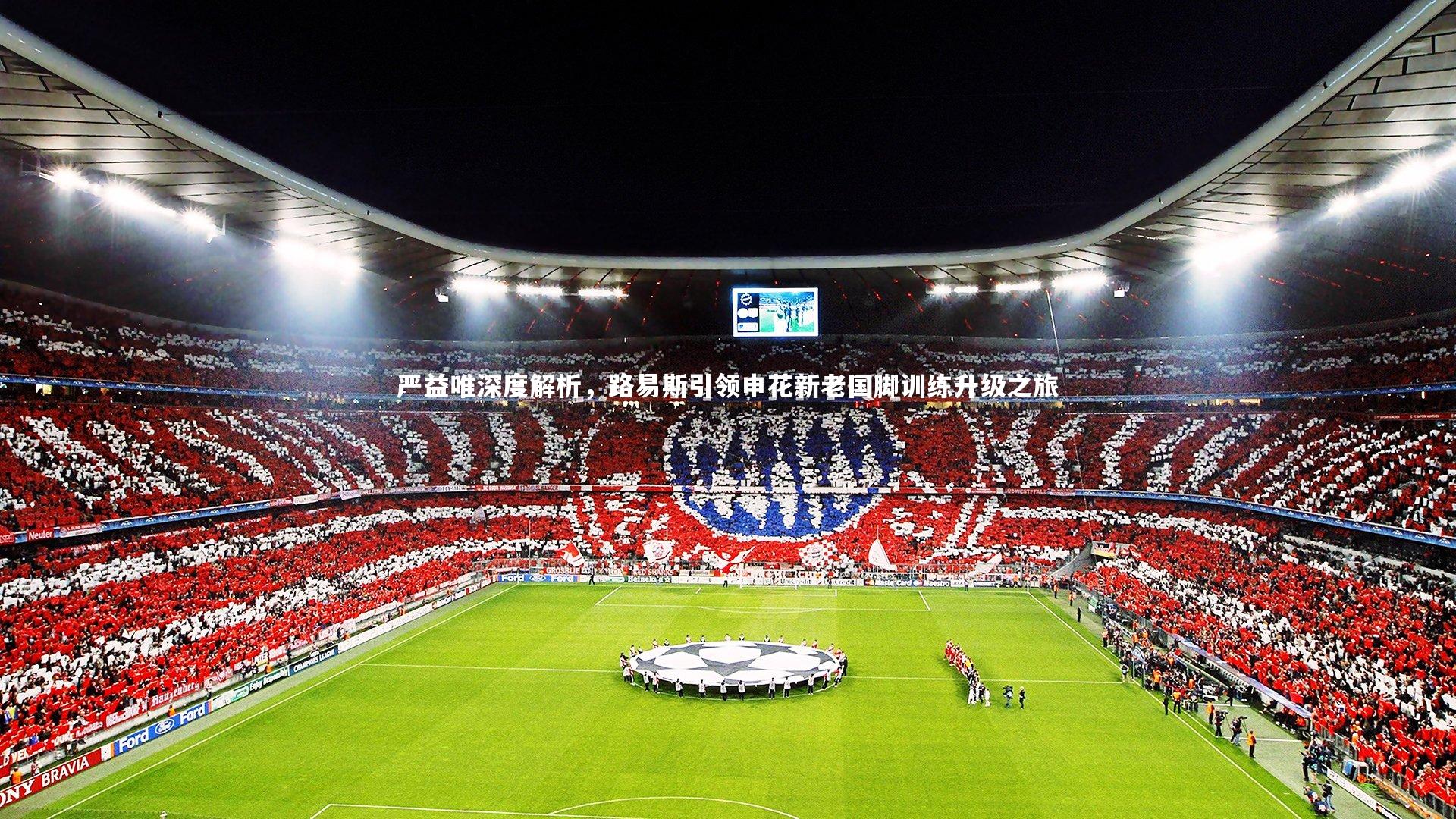 乐竟体育app|严益唯深度解析，路易斯引领申花新老国脚训练升级之旅